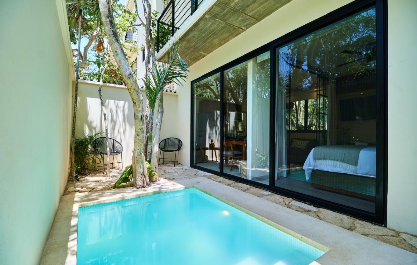 WhatsApp Image 2025-01-28 at 17.33.57